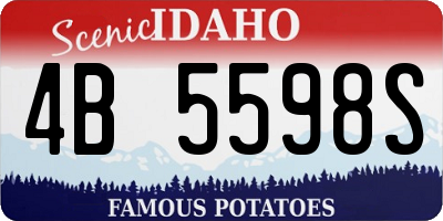 ID license plate 4B5598S