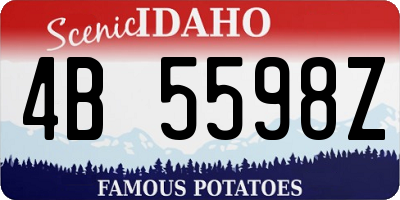 ID license plate 4B5598Z