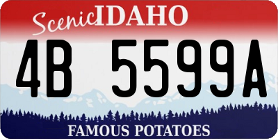 ID license plate 4B5599A