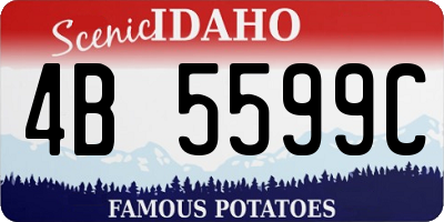 ID license plate 4B5599C