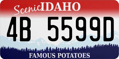 ID license plate 4B5599D
