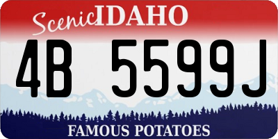 ID license plate 4B5599J