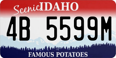 ID license plate 4B5599M