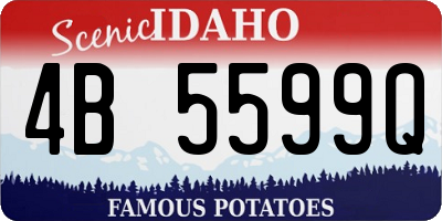 ID license plate 4B5599Q