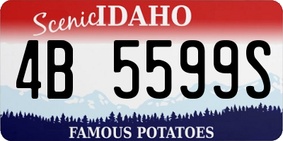 ID license plate 4B5599S