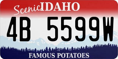 ID license plate 4B5599W