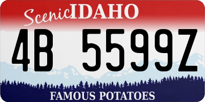 ID license plate 4B5599Z
