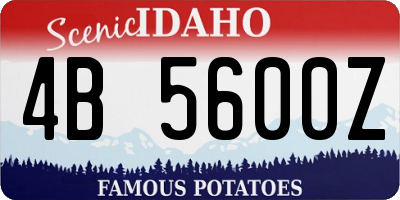 ID license plate 4B5600Z