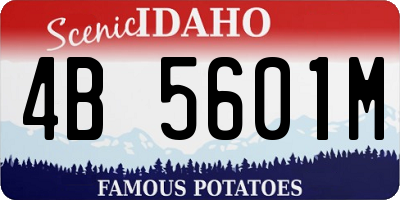 ID license plate 4B5601M