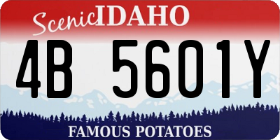 ID license plate 4B5601Y
