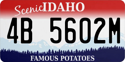 ID license plate 4B5602M