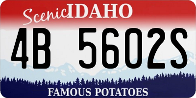 ID license plate 4B5602S