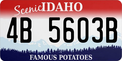 ID license plate 4B5603B