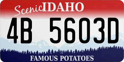 ID license plate 4B5603D