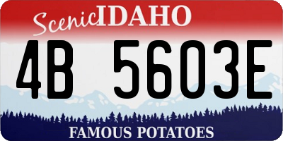 ID license plate 4B5603E