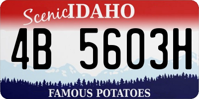 ID license plate 4B5603H