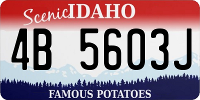 ID license plate 4B5603J
