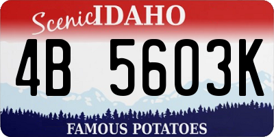 ID license plate 4B5603K