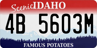 ID license plate 4B5603M