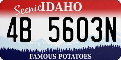 ID license plate 4B5603N