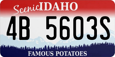 ID license plate 4B5603S