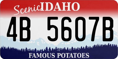 ID license plate 4B5607B
