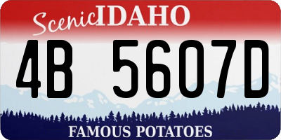 ID license plate 4B5607D