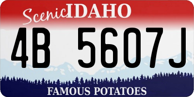 ID license plate 4B5607J