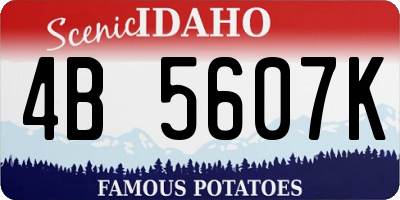 ID license plate 4B5607K