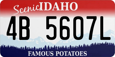 ID license plate 4B5607L