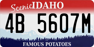ID license plate 4B5607M