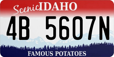 ID license plate 4B5607N