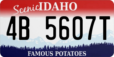 ID license plate 4B5607T