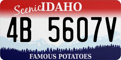 ID license plate 4B5607V