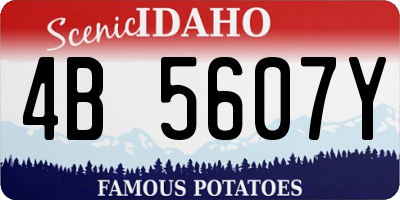 ID license plate 4B5607Y
