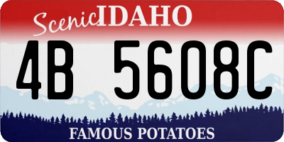 ID license plate 4B5608C