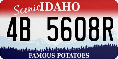 ID license plate 4B5608R