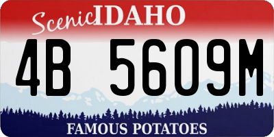 ID license plate 4B5609M
