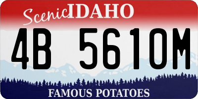 ID license plate 4B5610M