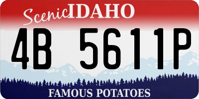ID license plate 4B5611P