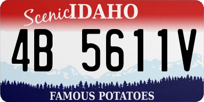 ID license plate 4B5611V