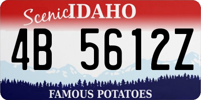 ID license plate 4B5612Z