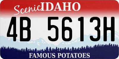 ID license plate 4B5613H