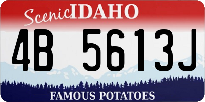 ID license plate 4B5613J