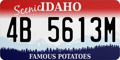 ID license plate 4B5613M