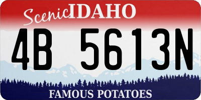 ID license plate 4B5613N