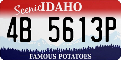 ID license plate 4B5613P
