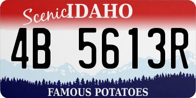 ID license plate 4B5613R