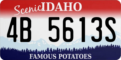 ID license plate 4B5613S