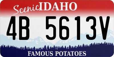 ID license plate 4B5613V